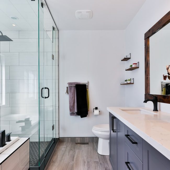 amenagement-wc-toilettes-oasis-luxe