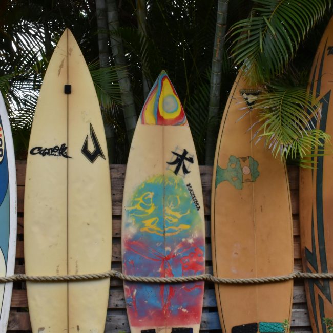 A vibrant display of surfboards leaning against a fence, perfect for summer vibes. Une exposition vibrante de planches de surf appuyées contre une clôture, parfaite pour des ambiances estivales.