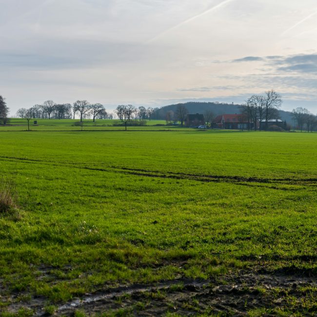 Peaceful countryside scene featuring a wind turbine on a sunny day. Scène paisible à la campagne avec une éolienne par une journée ensoleillée.