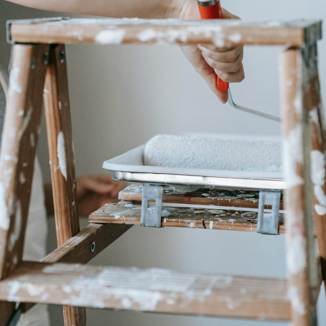 Femme adulte utilisant un rouleau et une échelle pour peindre un mur de pièce en intérieur.