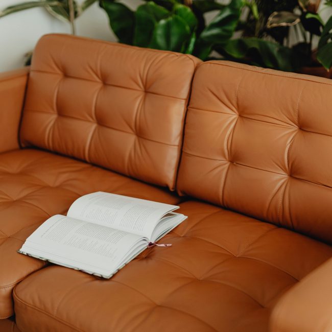Elegant canapé en cuir marron avec un livre ouvert, entouré de plantes d'intérieur vibrantes, parfait pour la détente.