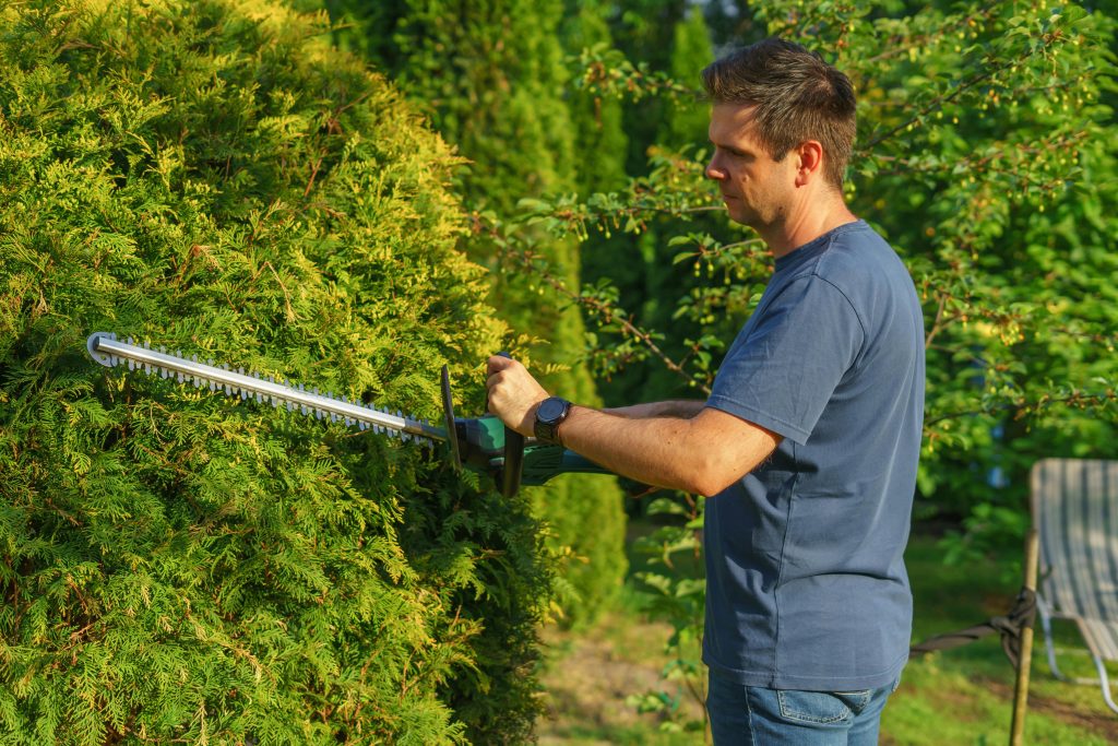 Homme taillant une haie avec un taille-haie électrique dans un jardin ensoleillé.