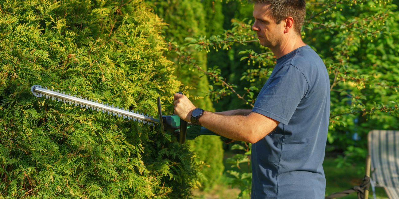 Homme taillant une haie avec un taille-haie électrique dans un jardin ensoleillé.
