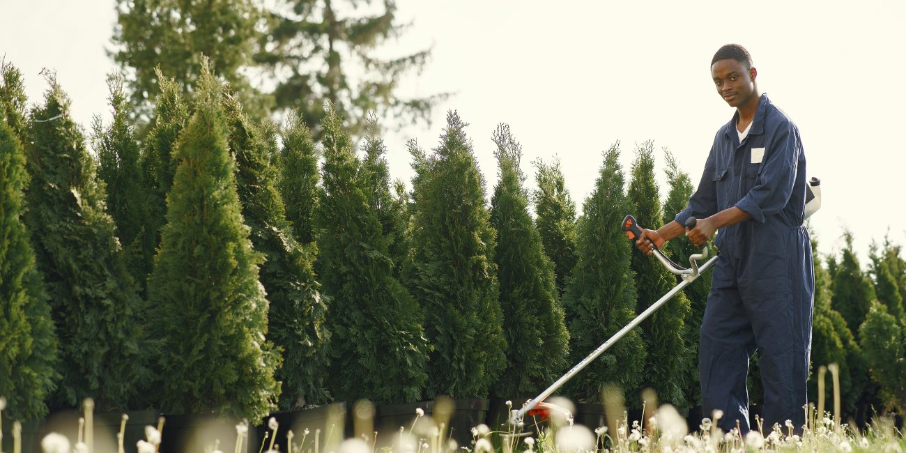 Experte jardinière en salopette utilisant un taille-haie pour entretenir une haie verte luxuriante en plein jour