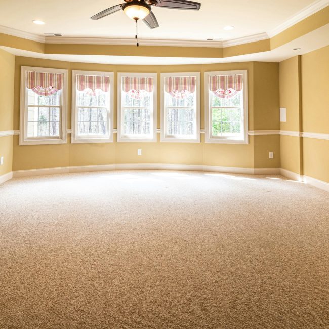 Bright empty room with large windows, carpet flooring, and ceiling fan, ideal for residential use. Pièce vide lumineuse avec de grandes fenêtres, moquette au sol et ventilateur de plafond, idéale pour un usage résidentiel.