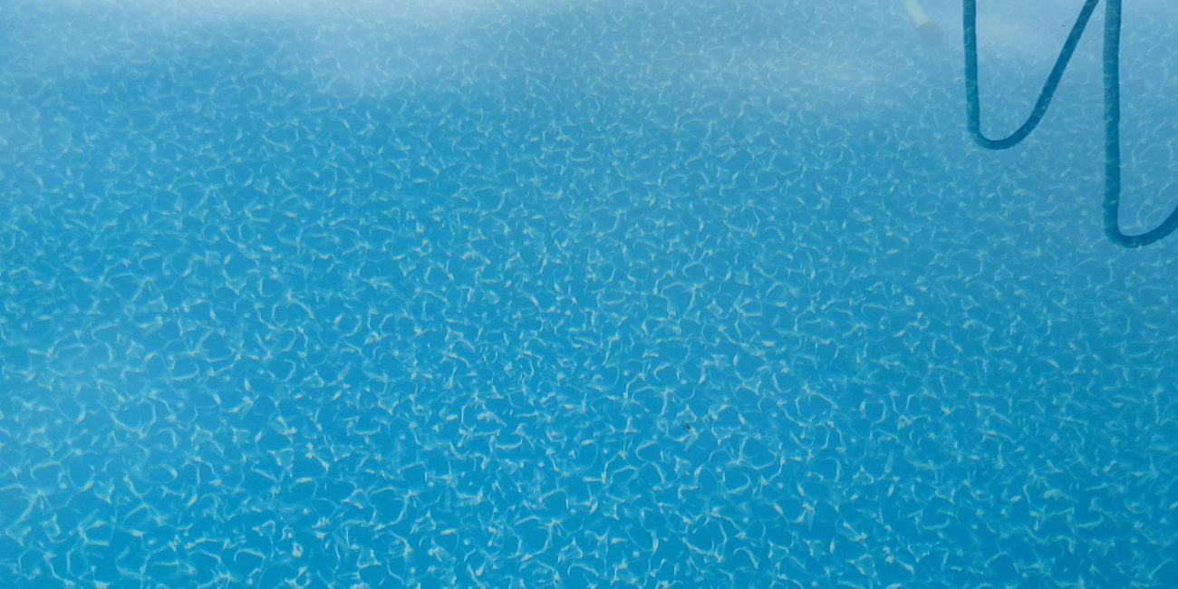 Captivating view of a blue swimming pool with a ladder reflected on the surface, ideal summer relaxation spot. Vue captivante d'une piscine bleue avec une échelle reflétée à la surface, un endroit idéal pour la détente estivale.