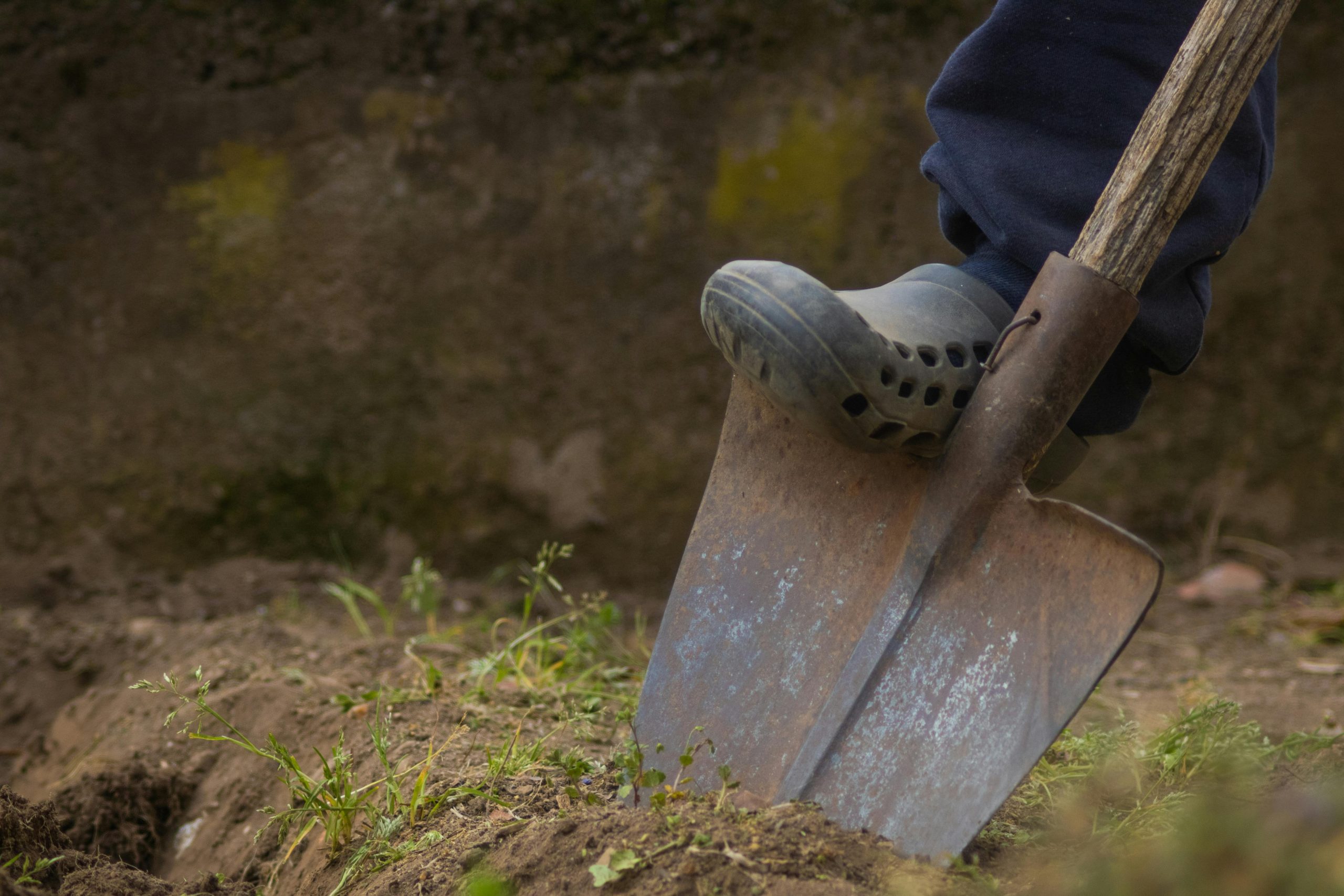 Solutions efficaces contre les trous dans le jardin