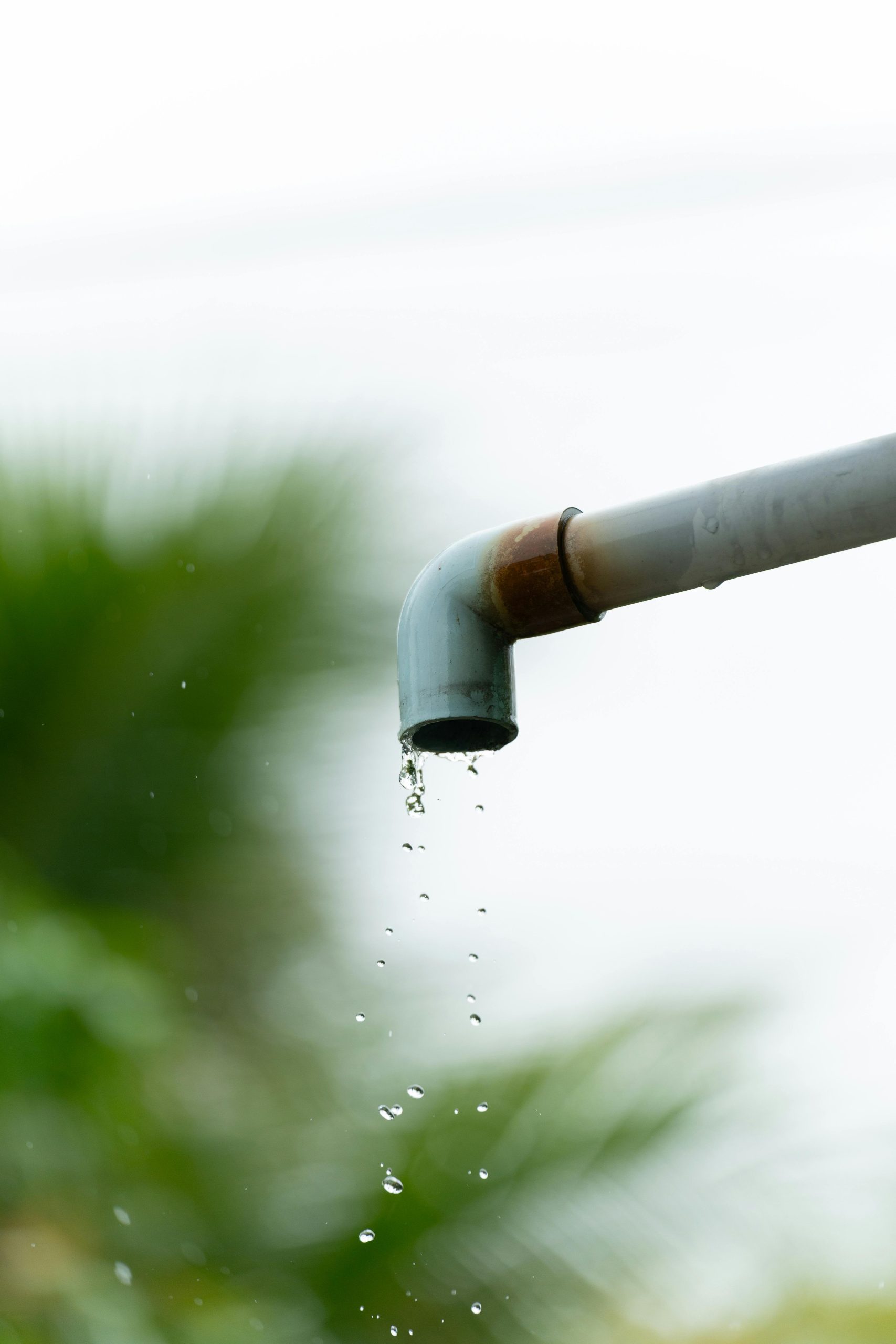 A close-up of water droplets falling from a rusty outdoor pipe against a blurred natural background. Gros plan de gouttes d'eau tombant d'un tuyau extérieur rouillé sur un fond naturel flou.