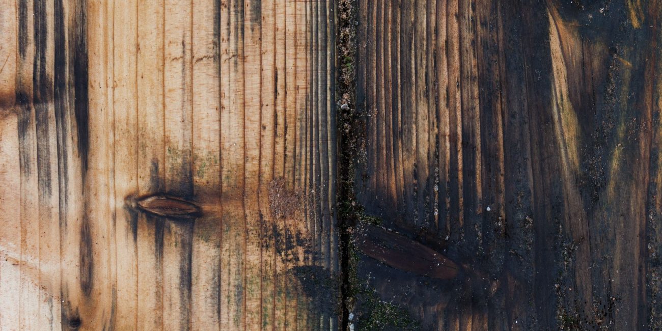 Close-up of weathered wooden planks with moss, showcasing natural textures and colors. Gros plan de planches de bois usées avec de la mousse, mettant en évidence les textures et les couleurs naturelles.
