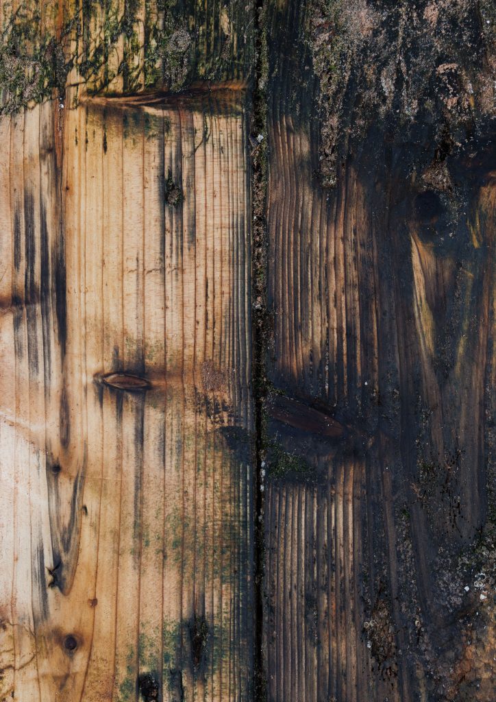 Close-up of weathered wooden planks with moss, showcasing natural textures and colors. Gros plan de planches de bois usées avec de la mousse, mettant en évidence les textures et les couleurs naturelles.