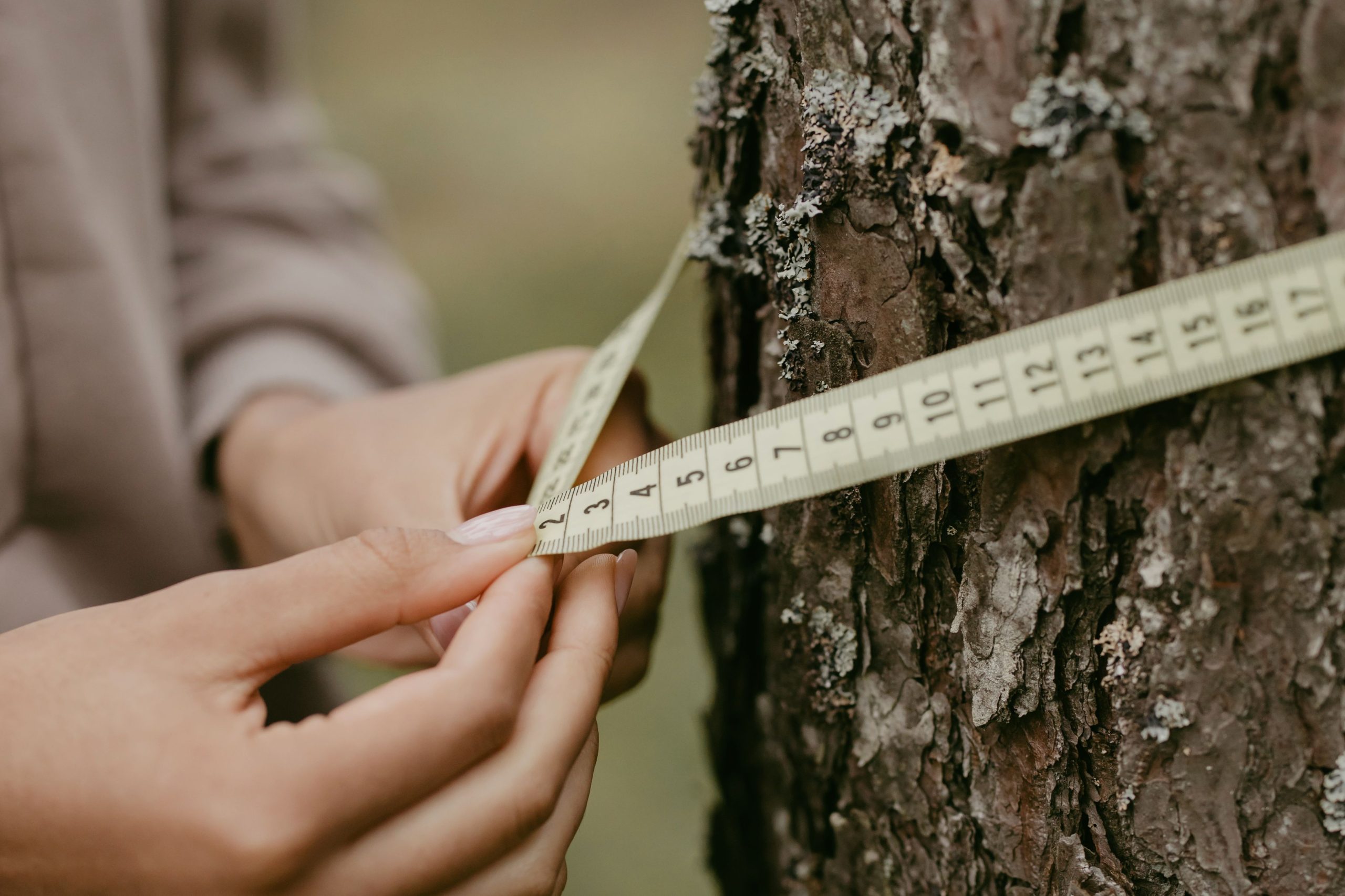 Calculer le stère de bois - Méthode correcte
