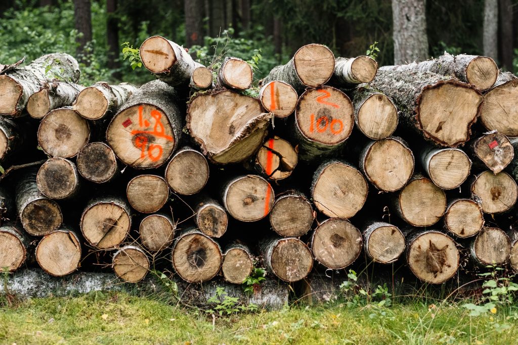 A stack of tree logs with measurements marked, surrounded by a lush forest. Une pile de bûches avec des mesures marquées, entourée d'une forêt luxuriante.