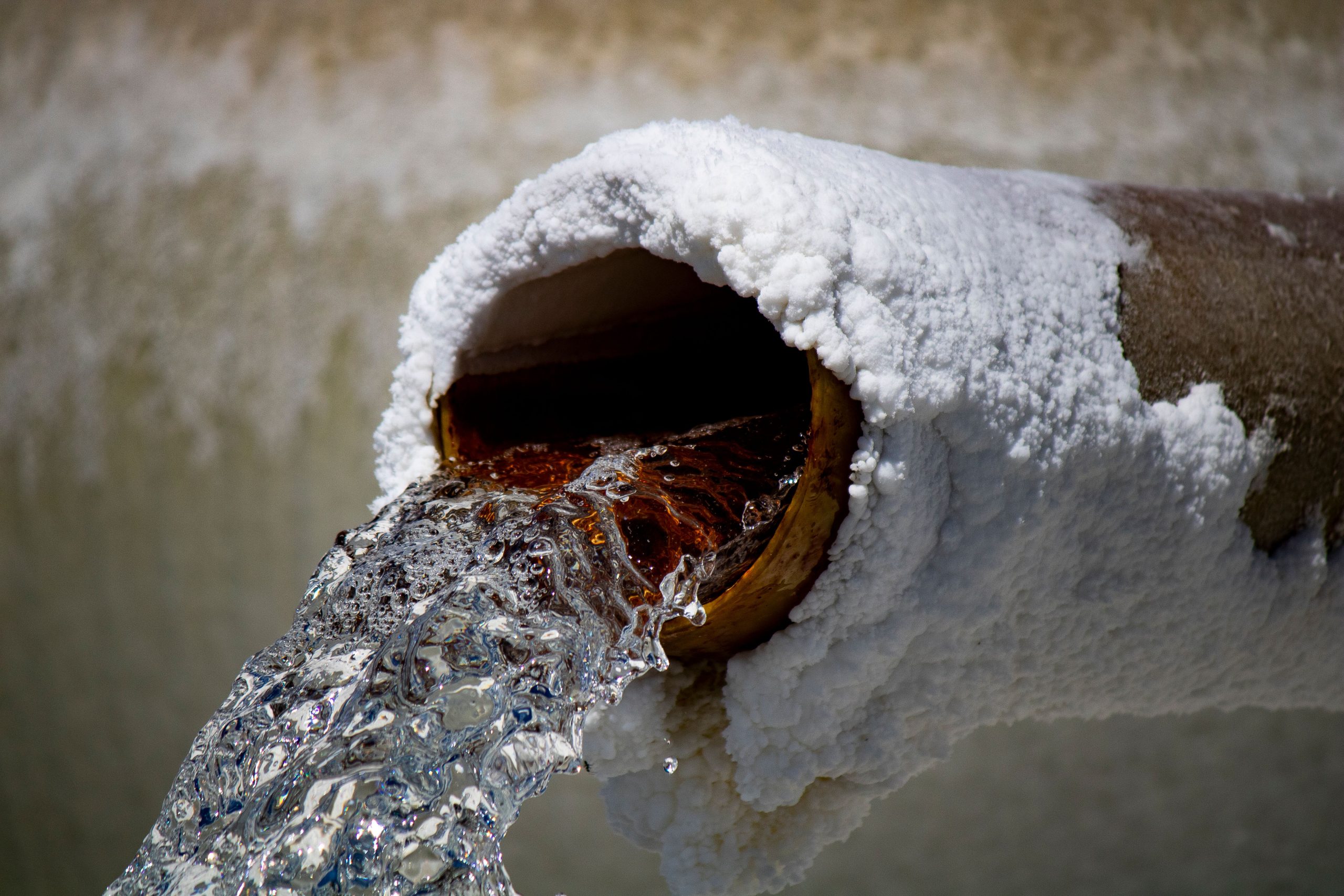 Alternatives trouvables à l'eau écarlate