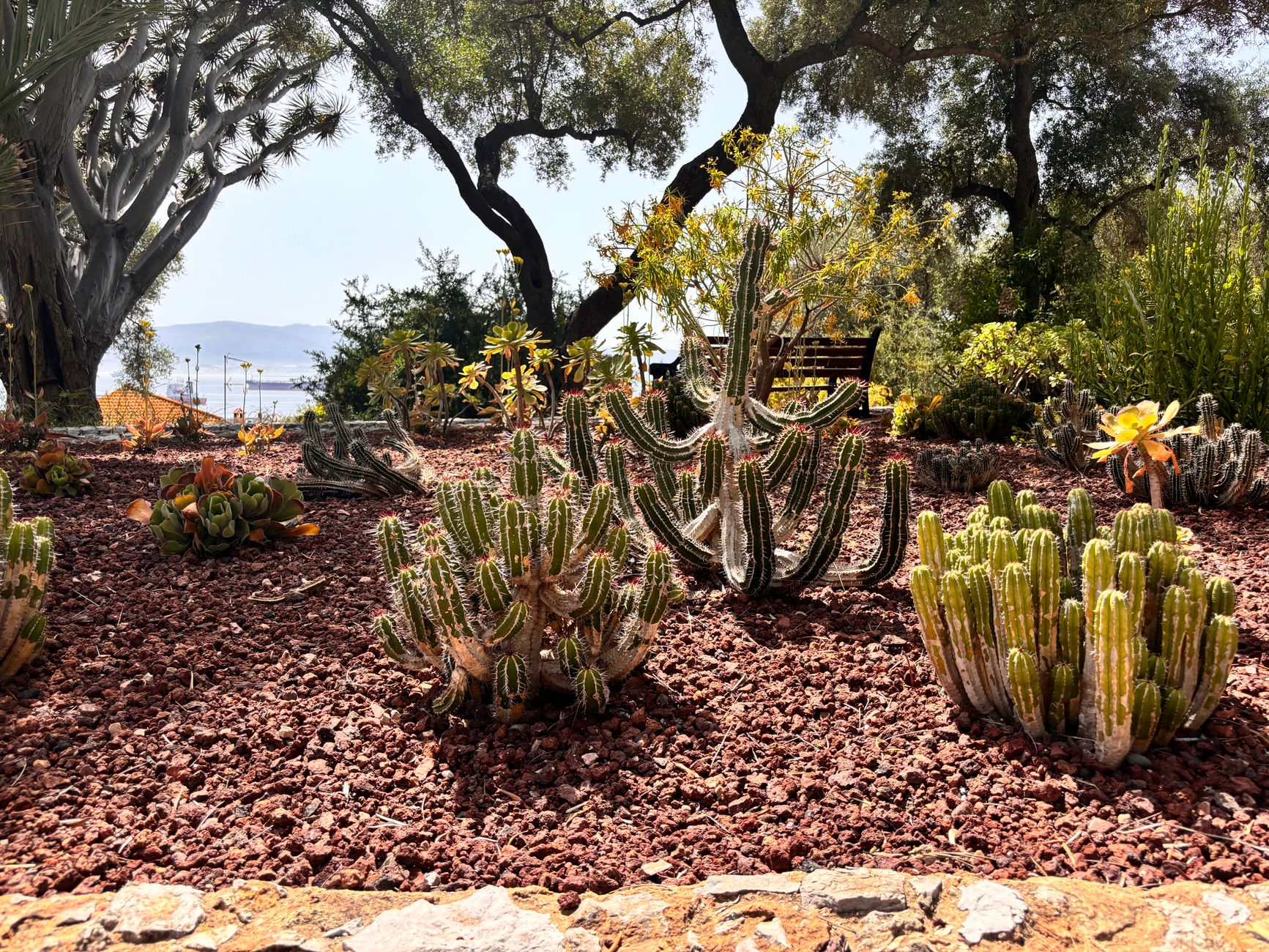 Jardin botanique ensoleillé avec arbres