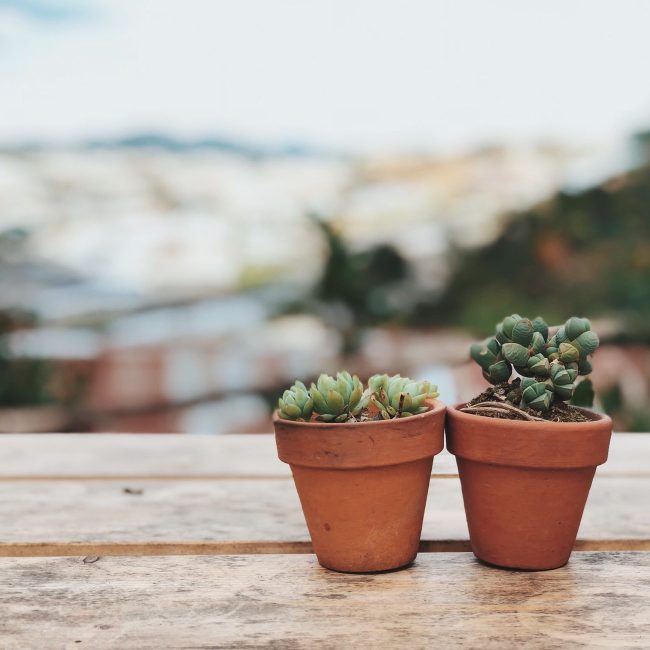 Pots en terre cuite avec plantes, exemple de drainage réussi
