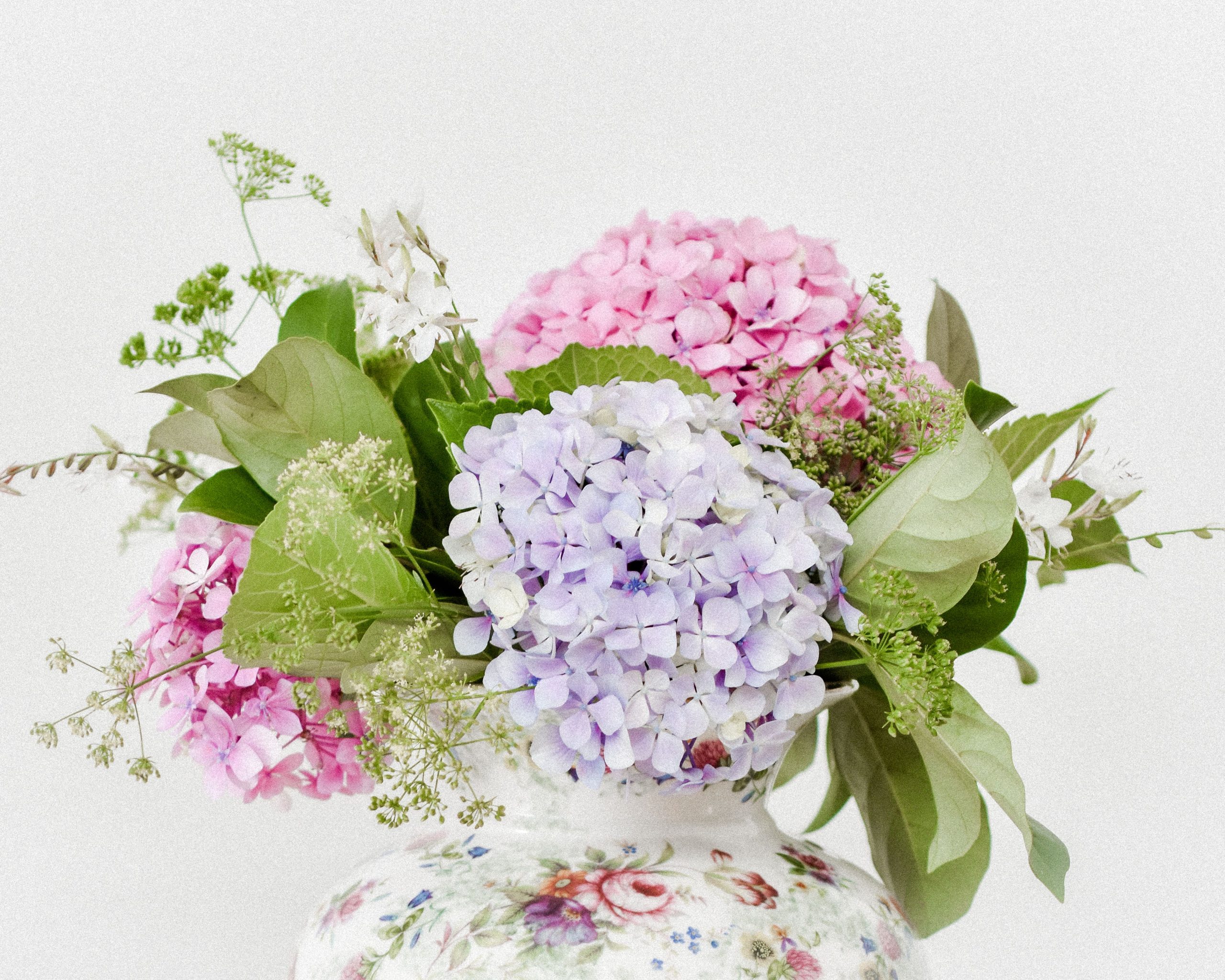 Bouquet hortensias séchés dans un vase