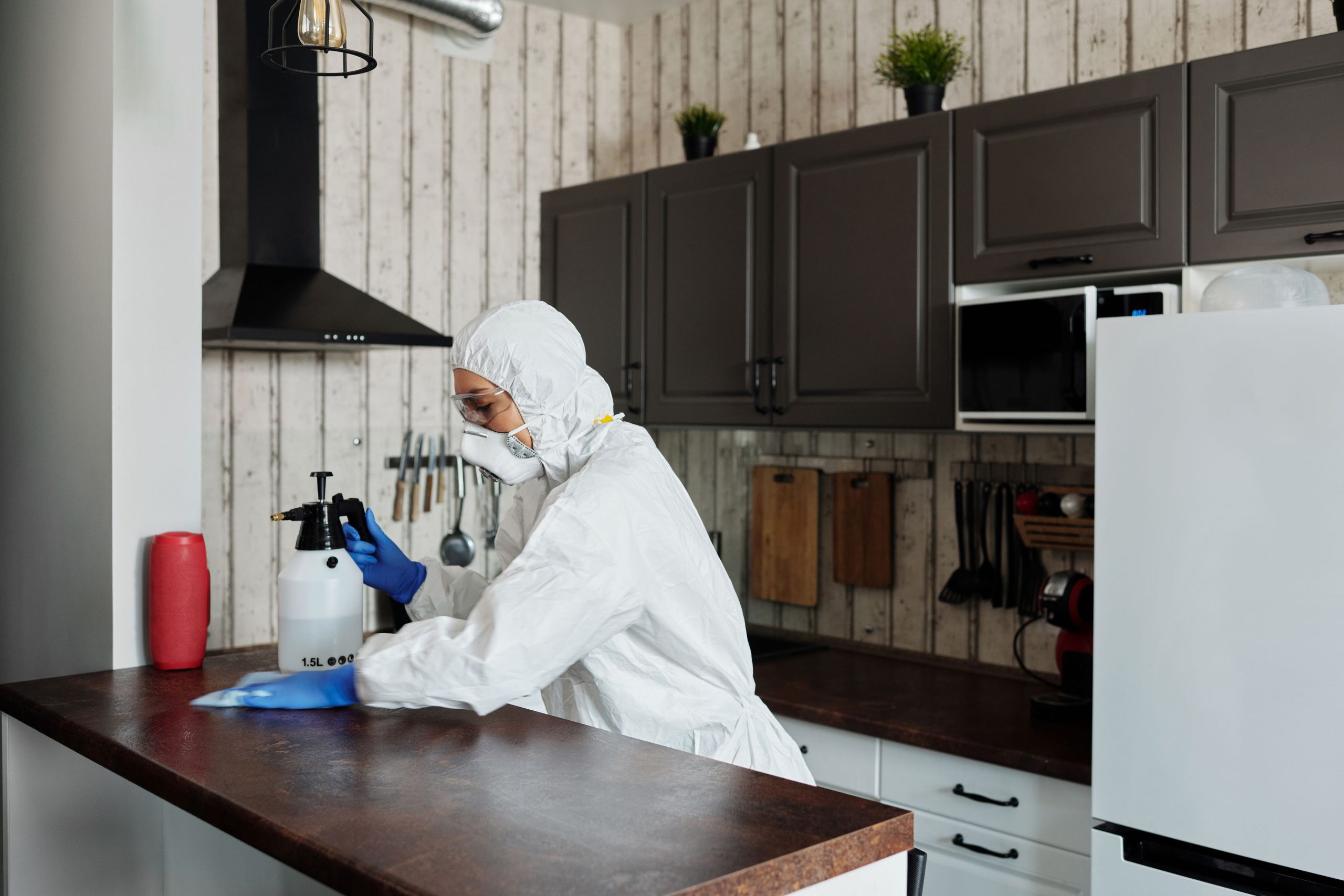 Professionnel traitant une cuisine contre les nuisibles