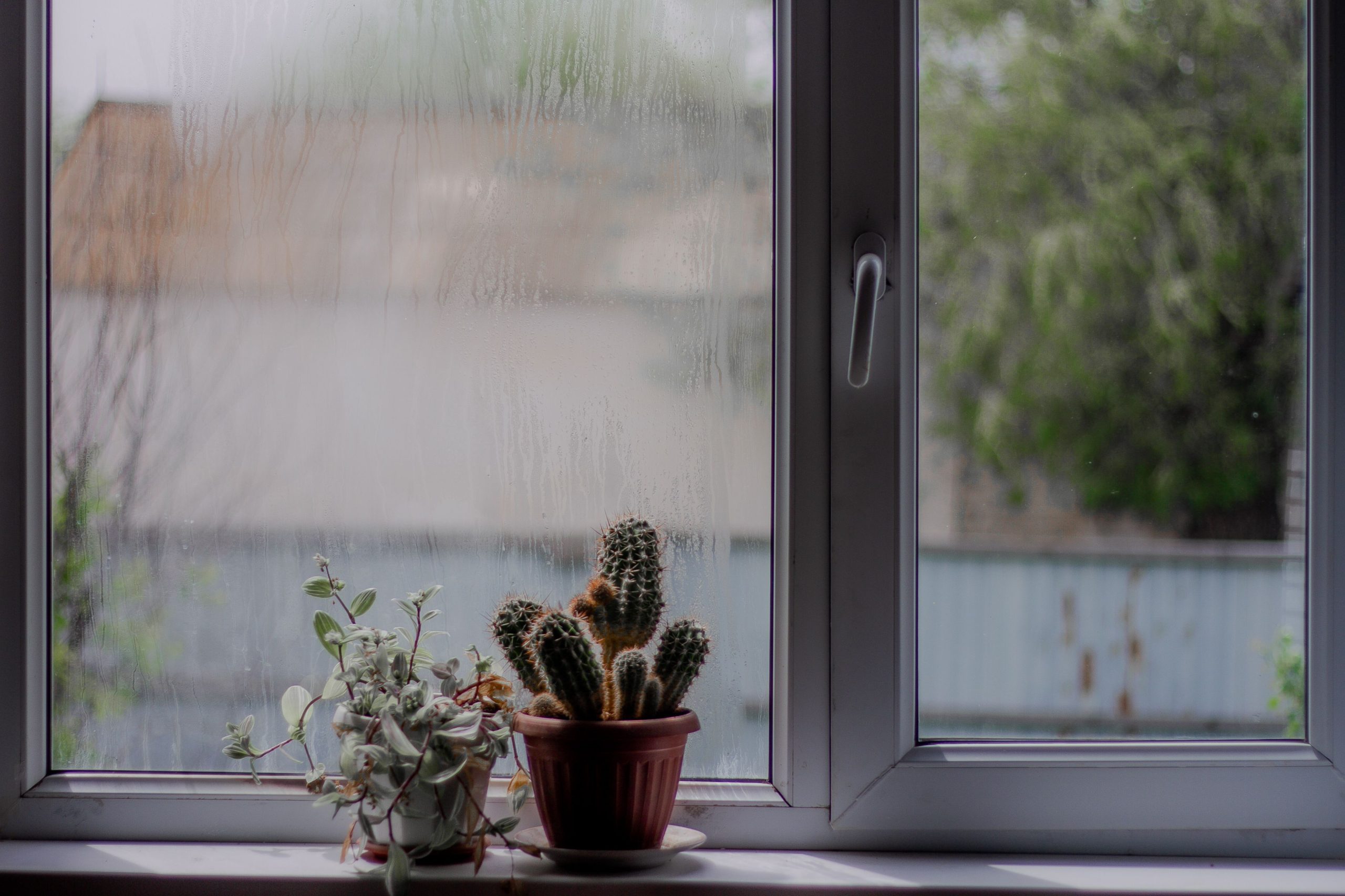 Fenêtre embuée par la condensation, signe d
