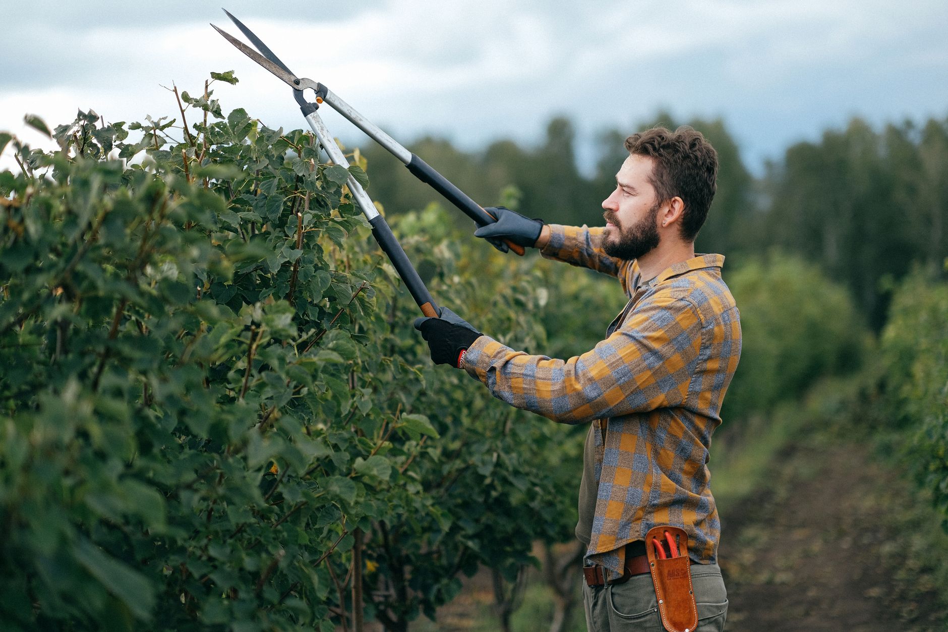 Gros plan sur des sécateurs de jardin utilisés en extérieur