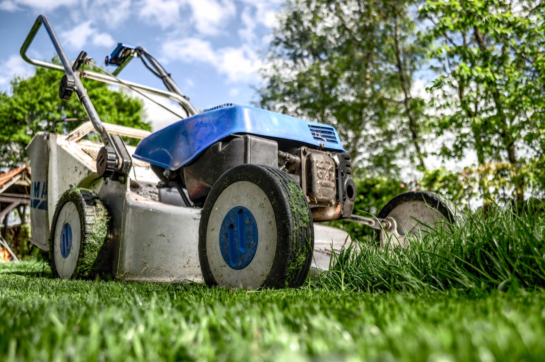 Gros plan sur une tondeuse qui coupe l herbe