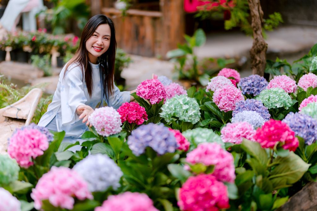 Jardin fleuri d'hortensias au printemps