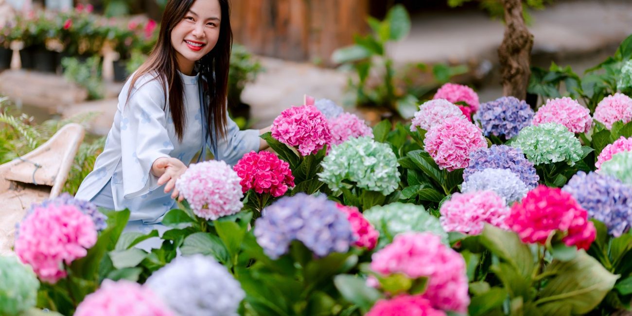 Jardin fleuri d'hortensias au printemps
