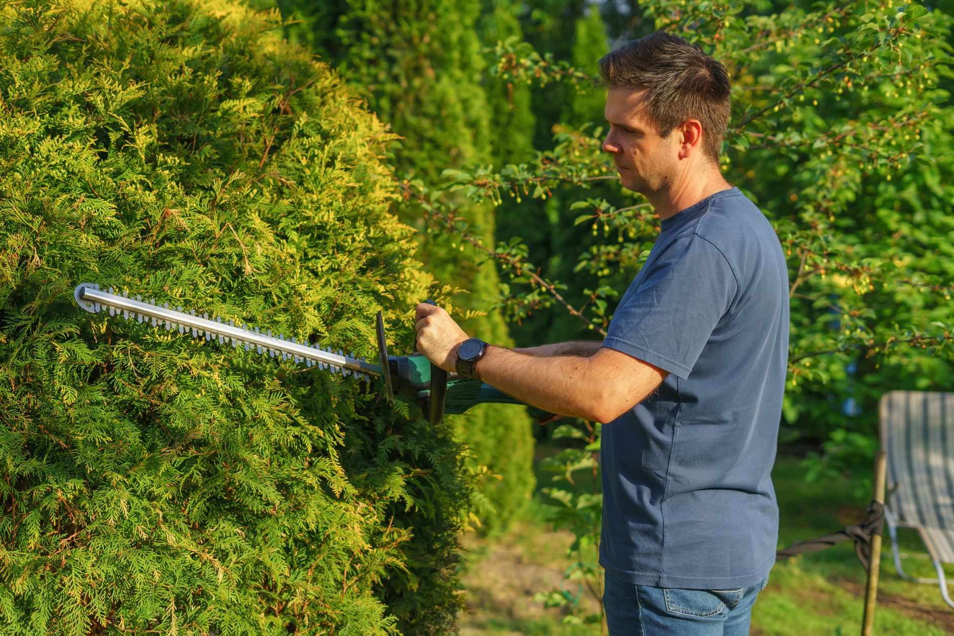 Jardinier taillant une haie en plein soleil