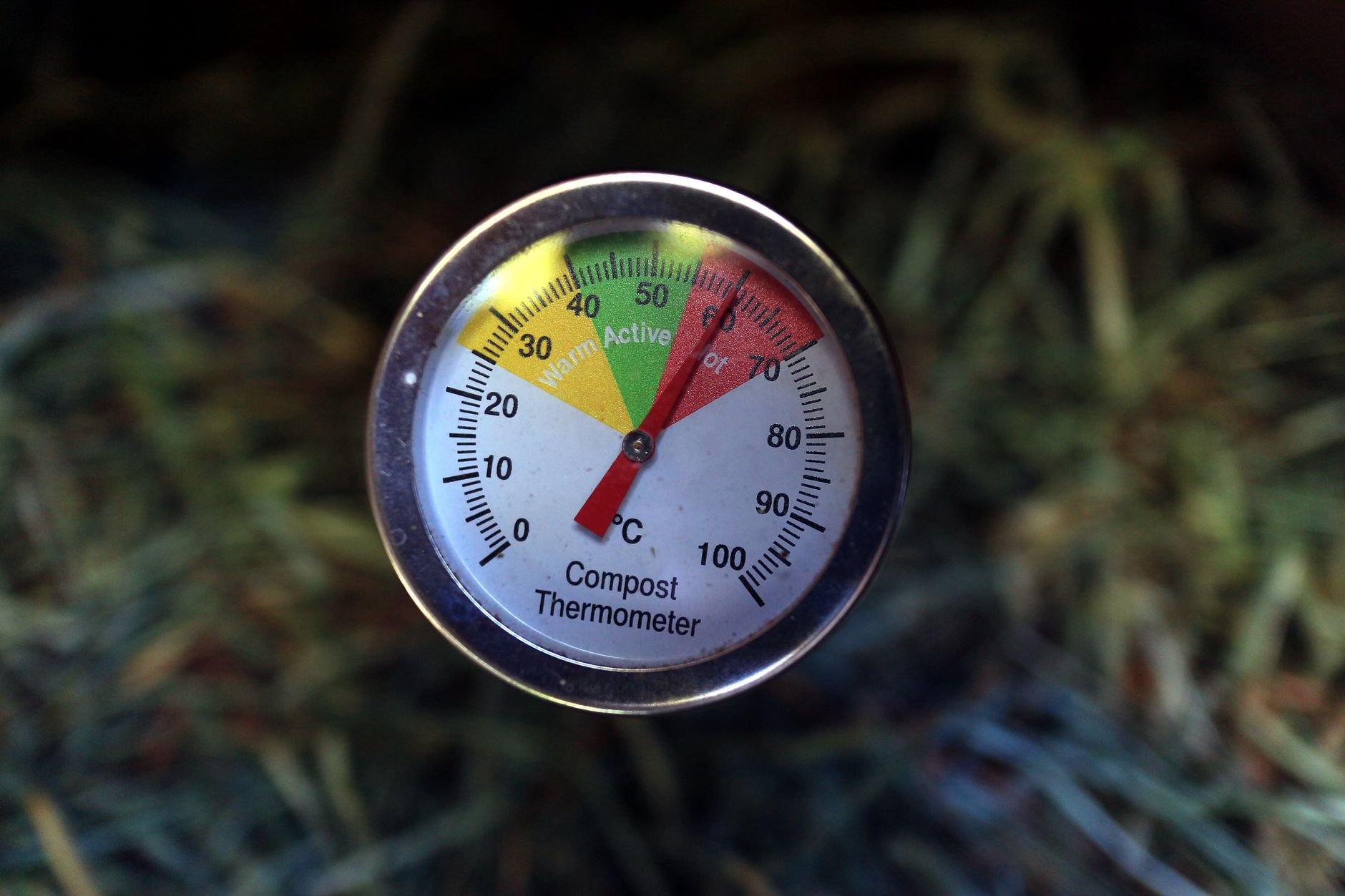 Un thermomètre planté dans un tas de compost actif