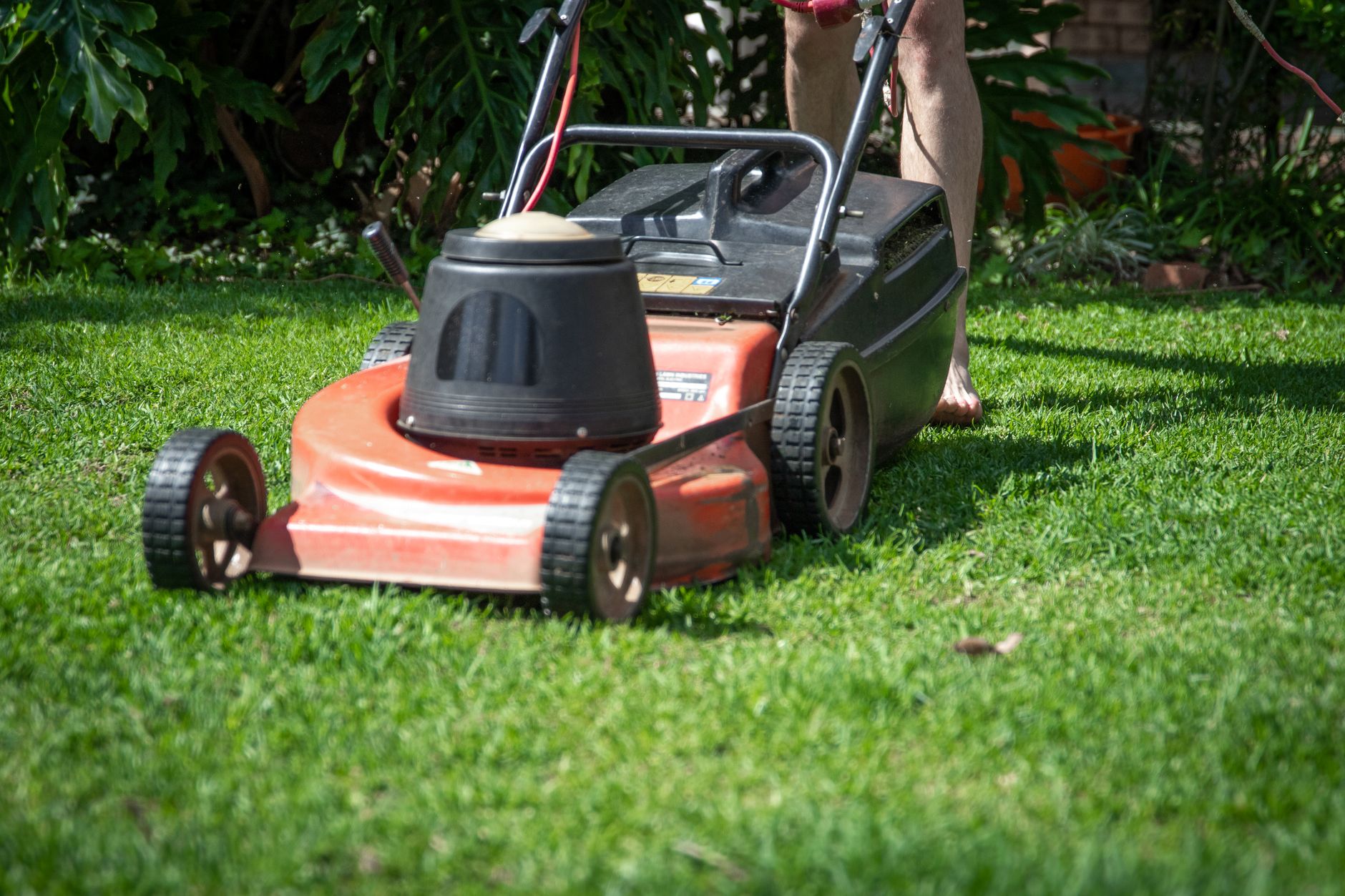 Personne poussant une tondeuse thermique dans le jardin
