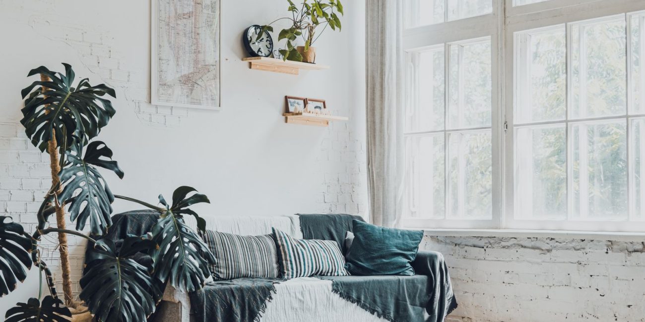 Salon lumineux d'un premier appartement décoré avec des plantes vertes