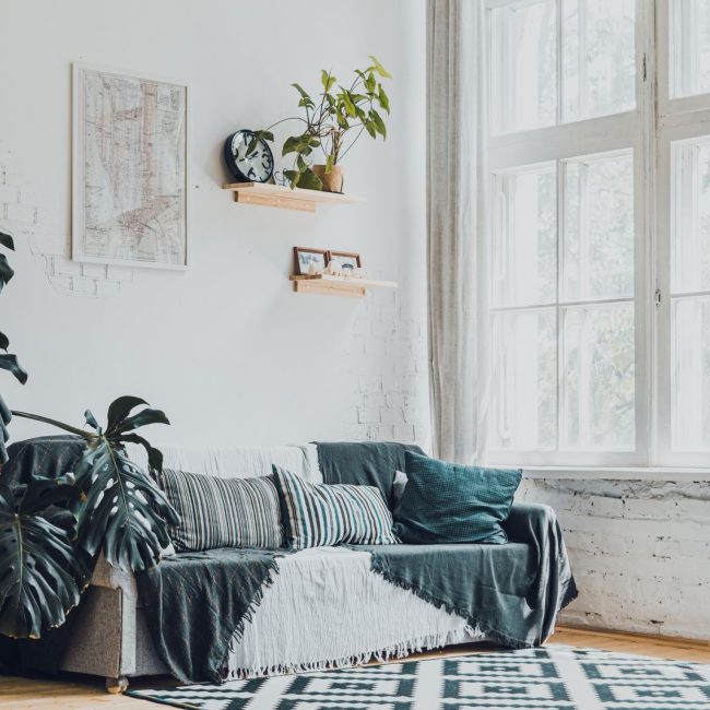 Salon lumineux d'un premier appartement décoré avec des plantes vertes