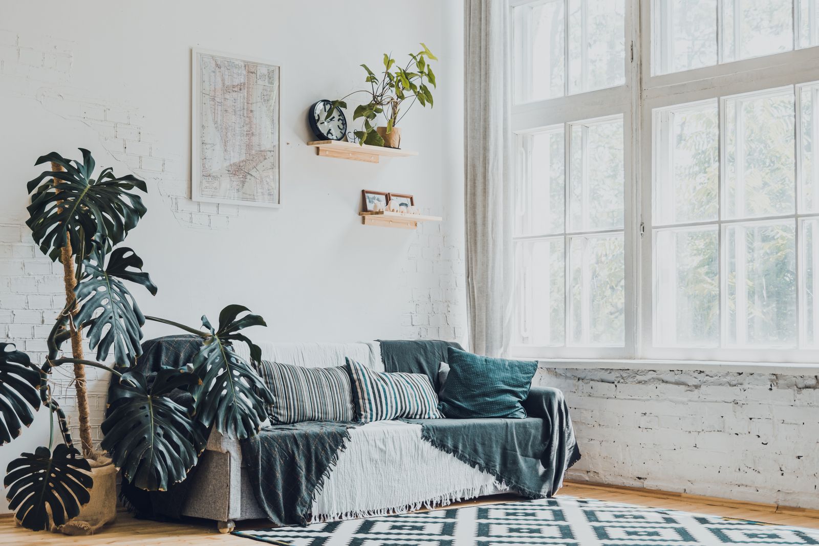 Salon lumineux d'un premier appartement décoré avec des plantes vertes