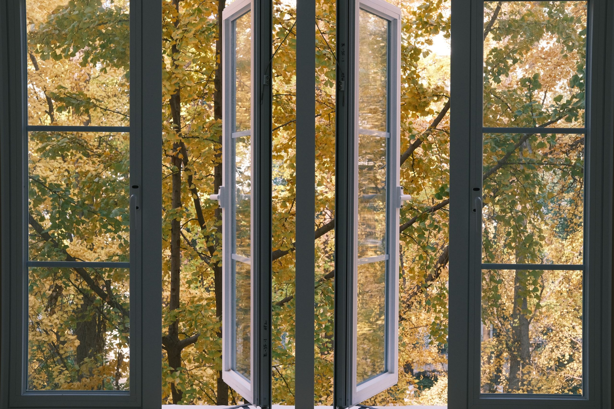 Vue sur le feuillage d’automne par une fenêtre ouverte