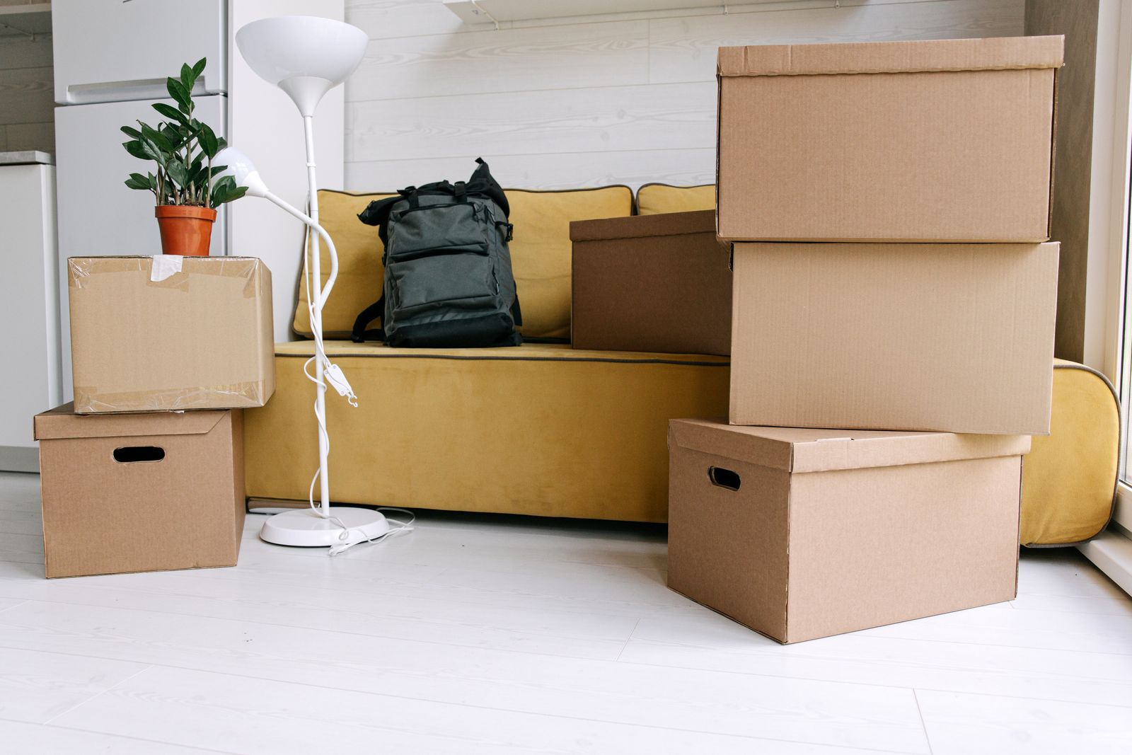 Cartons de déménagement dans un salon de premier logement
